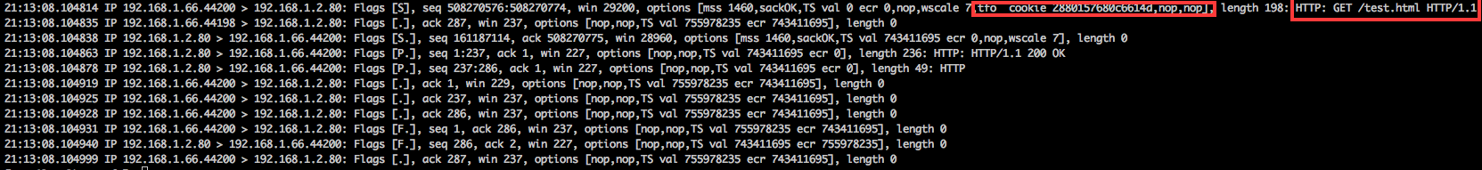 TFO后续连接tcpdump